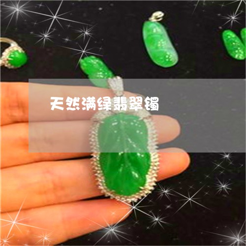 天然满绿翡翠镯/2023040464059 天然满绿翡翠镯/2023040464059