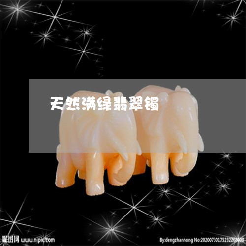 天然满绿翡翠镯/2023040473916 天然满绿翡翠镯/2023040473916
