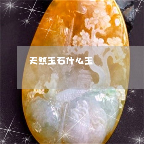 天然玉石什么玉/2023040486737