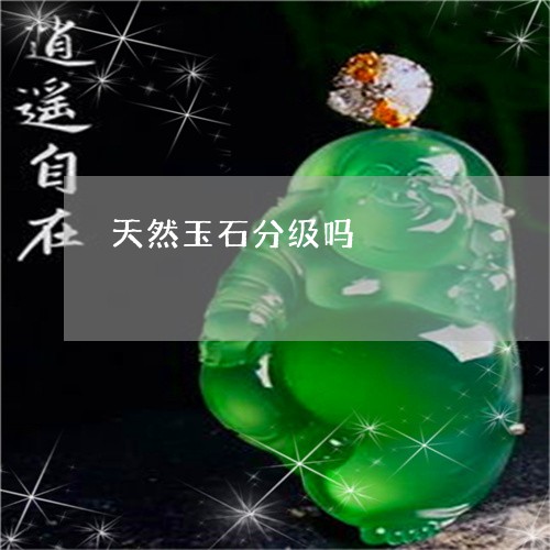 天然玉石分级吗/2023040426048