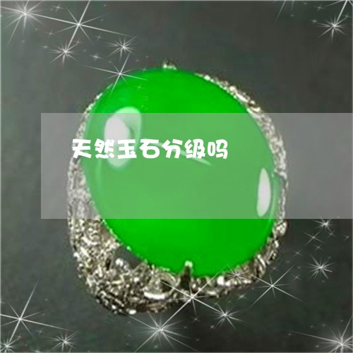 天然玉石分级吗/2023040451685