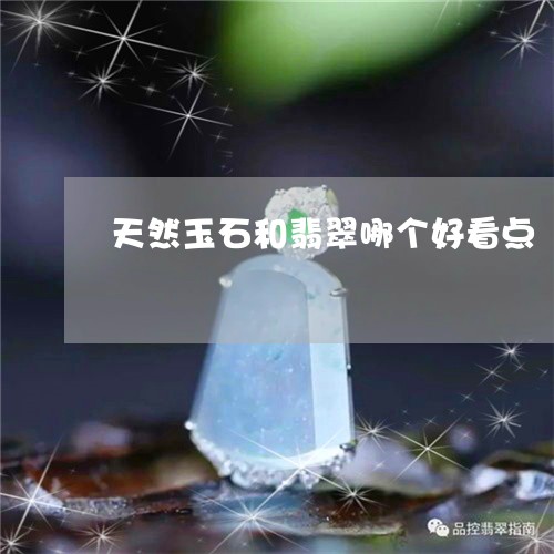 天然玉石和翡翠哪个好看点/2023071141401