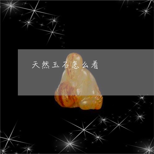 天然玉石怎么看/2023040383713 天然玉石怎么看/2023040383713