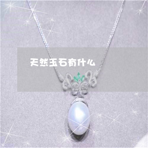 天然玉石有什么/2023040315047 天然玉石有什么/2023040315047