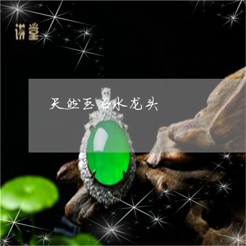 天然玉石水龙头/2023040385051 天然玉石水龙头/2023040385051