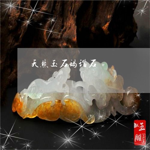 天然玉石玛瑙石/2023040363502 天然玉石玛瑙石/2023040363502