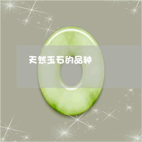 天然玉石的品种/2023040305938 天然玉石的品种/2023040305938