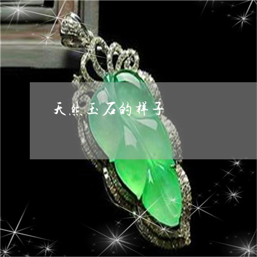 天然玉石的样子/2023040360472 天然玉石的样子/2023040360472