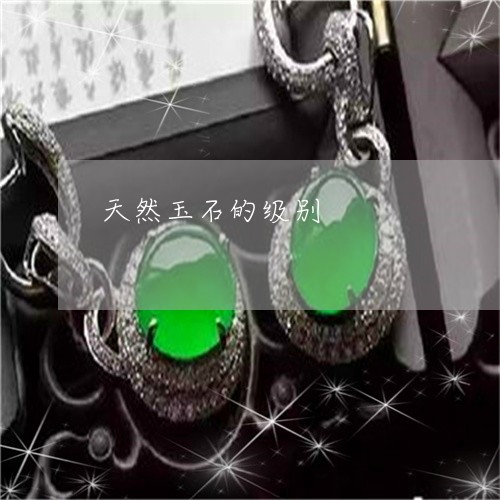天然玉石的级别/2023040376845 天然玉石的级别/2023040376845