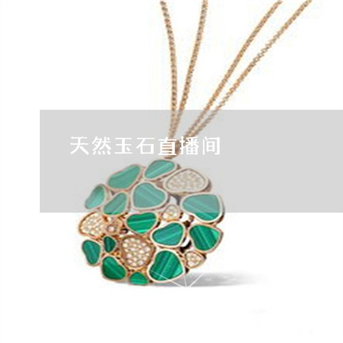 天然玉石直播间/2023040337358 天然玉石直播间/2023040337358