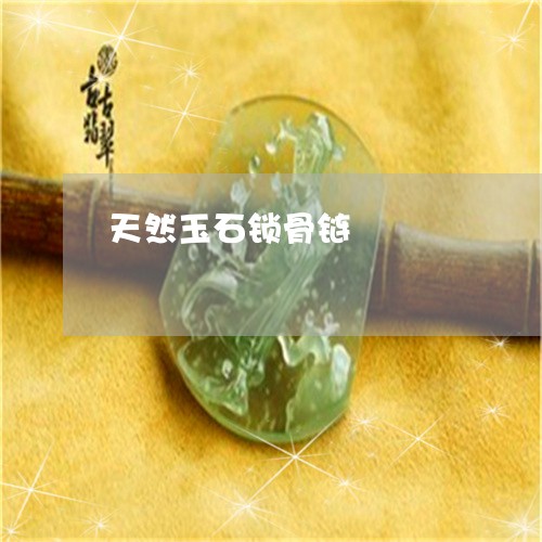 天然玉石锁骨链/2023040303918