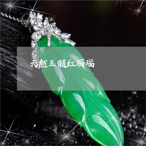 天然玉髓红玛瑙/2023040338450