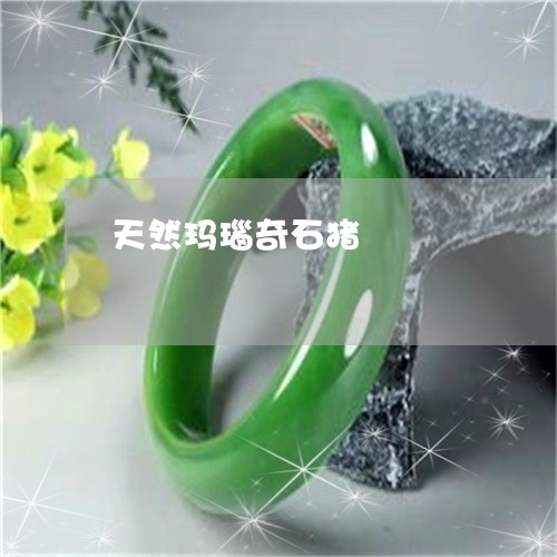 天然玛瑙奇石猪/2023040381604