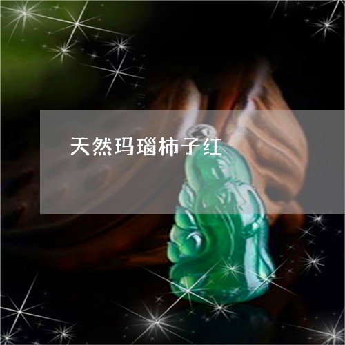 天然玛瑙柿子红/2023040371595 天然玛瑙柿子红/2023040371595