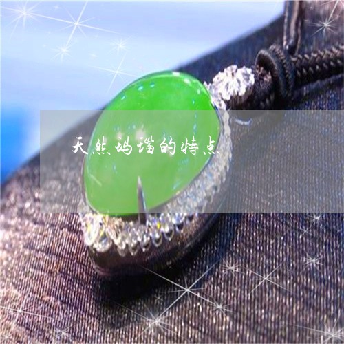 天然玛瑙的特点/2023040373793 天然玛瑙的特点/2023040373793