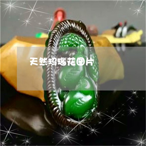 天然玛瑙花图片/2023040304038