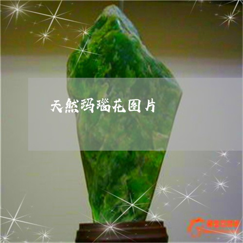 天然玛瑙花图片/2023040332493
