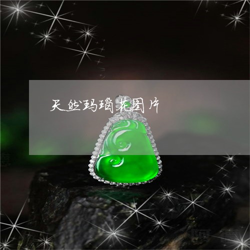 天然玛瑙花图片/2023040383716