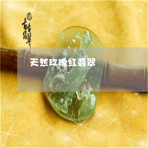 天然玫瑰红翡翠/2023040304947 天然玫瑰红翡翠/2023040304947