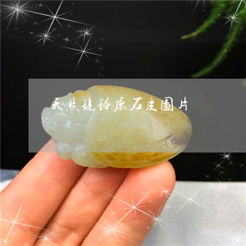 天然琥珀原石皮图片/2023042105057