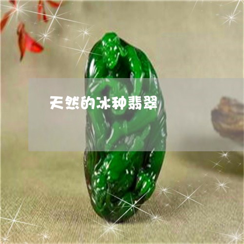 天然的冰种翡翠/2023040317169 天然的冰种翡翠/2023040317169