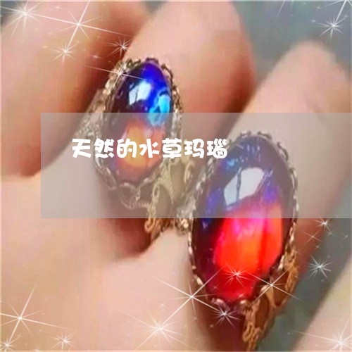 天然的水草玛瑙/2023040399492 天然的水草玛瑙/2023040399492