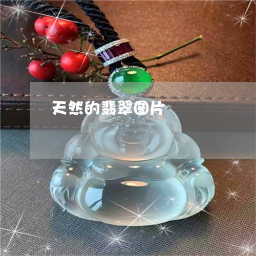天然的翡翠图片/2023040330473 天然的翡翠图片/2023040330473