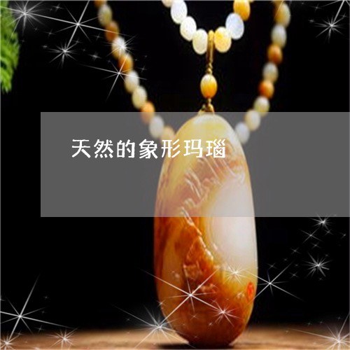 天然的象形玛瑙/2023040306128 天然的象形玛瑙/2023040306128