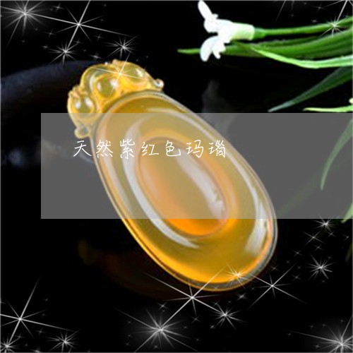 天然紫红色玛瑙/2023040376160 天然紫红色玛瑙/2023040376160