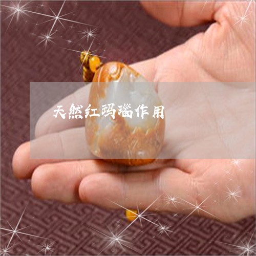 天然红玛瑙作用/2023040318279 天然红玛瑙作用/2023040318279