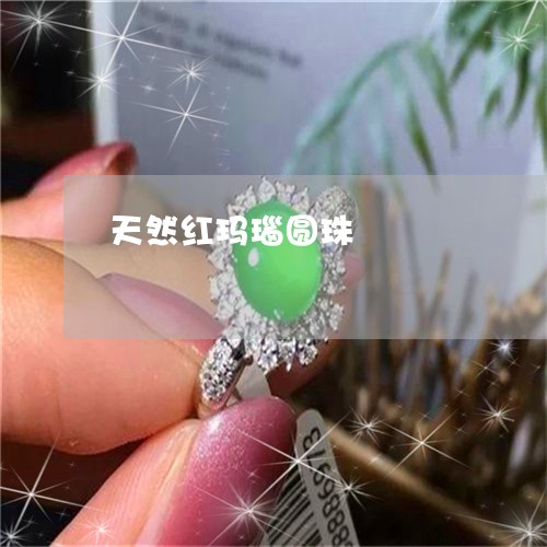 天然红玛瑙圆珠/2023040392594 天然红玛瑙圆珠/2023040392594