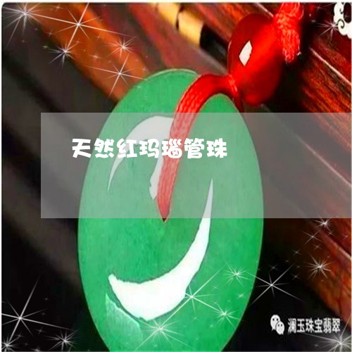 天然红玛瑙管珠/2023040319574