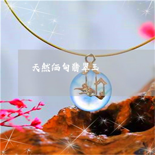 天然缅甸翡翠玉/2023040372613