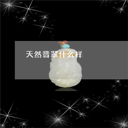 天然翡翠什么样/2023040363724 天然翡翠什么样/2023040363724