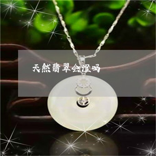 天然翡翠会涩吗/2023040392716 天然翡翠会涩吗/2023040392716