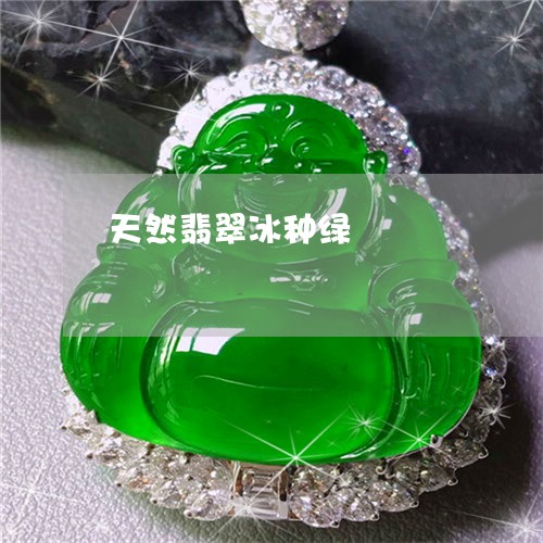 天然翡翠冰种绿/2023040383713 天然翡翠冰种绿/2023040383713