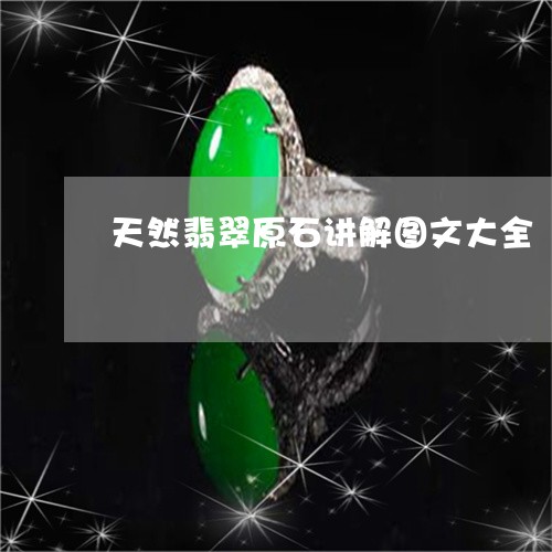 天然翡翠原石讲解图文大全/2023061954837 天然翡翠原石讲解图文大全/2023061954837
