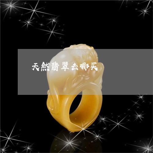 天然翡翠去哪买/2023040373716