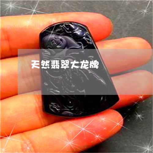 天然翡翠大龙牌/2023040336082 天然翡翠大龙牌/2023040336082
