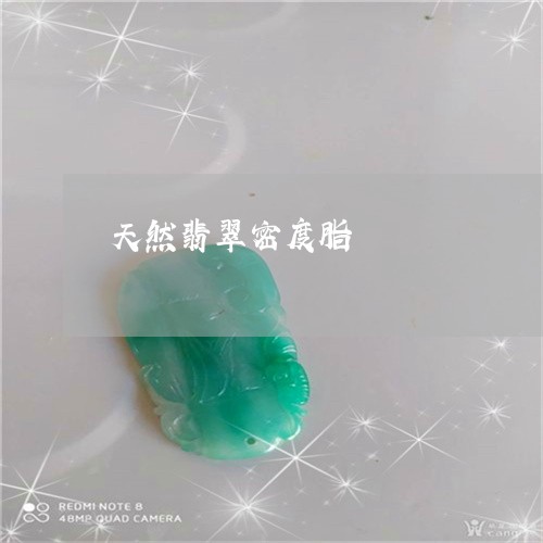 天然翡翠密度脂/2023040376948 天然翡翠密度脂/2023040376948