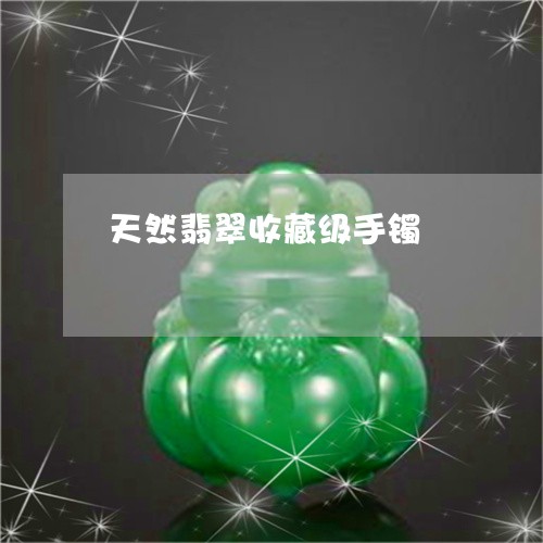 天然翡翠收藏级手镯/2023042084704 天然翡翠收藏级手镯/2023042084704