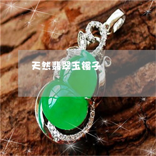 天然翡翠玉镯子/2023040307351
