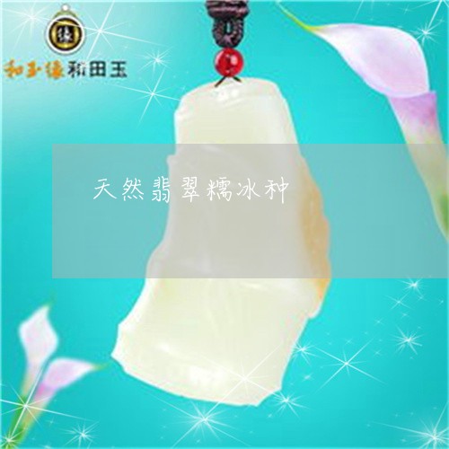 天然翡翠糯冰种/2023040334259 天然翡翠糯冰种/2023040334259