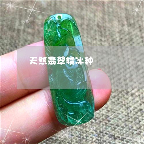 天然翡翠糯冰种/2023040366039 天然翡翠糯冰种/2023040366039