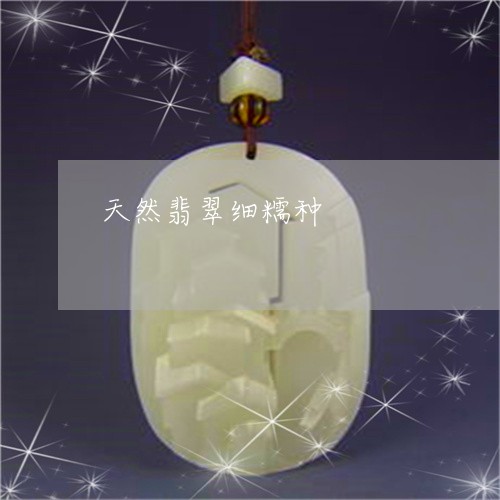 天然翡翠细糯种/2023040316067 天然翡翠细糯种/2023040316067