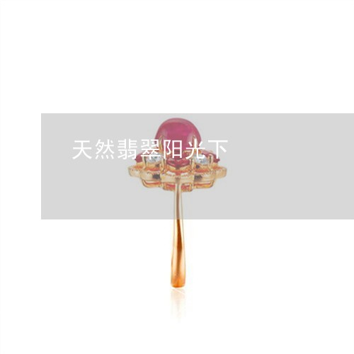 天然翡翠阳光下/2023040329371 天然翡翠阳光下/2023040329371