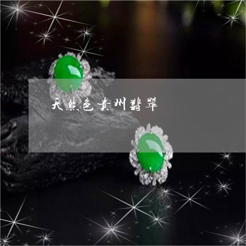 天然色贵州翡翠/2023040384828 天然色贵州翡翠/2023040384828