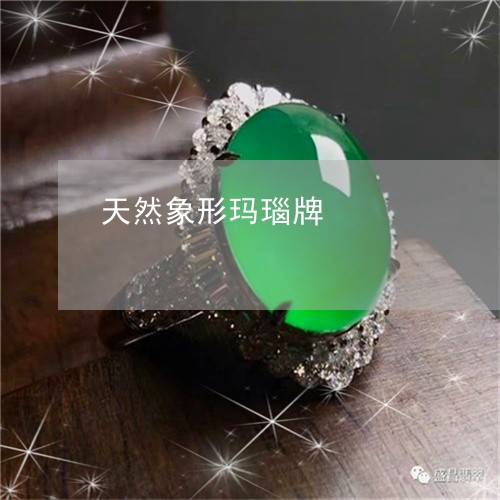 天然象形玛瑙牌/2023040310492 天然象形玛瑙牌/2023040310492