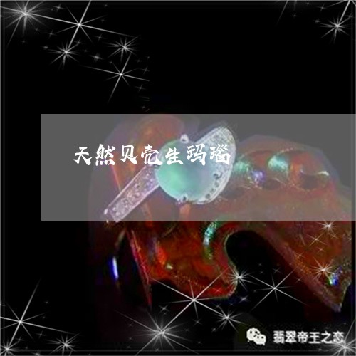 天然贝壳生玛瑙/2023040396038 天然贝壳生玛瑙/2023040396038