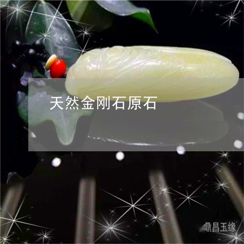 天然金刚石原石/2023040307148